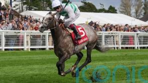 Almeric defies lengthy absence to win Doonside Cup in style