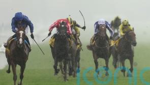 Words Of Truth denies Into The Sky in Mill Reef