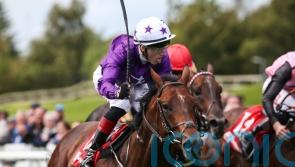 Arizona Blaze could take direct route to Breeders&rsquo; Cup