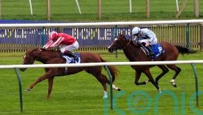 Zanthos back in business with all-the-way Rockfel win