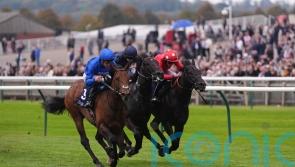 Wise Approach overcomes scare at the start to swoop in Middle Park