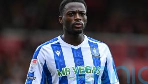 Struggling Sheffield Wednesday earn first home point of the season against QPR
