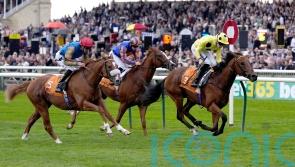 Bow Echo looks the part with Royal Lodge victory