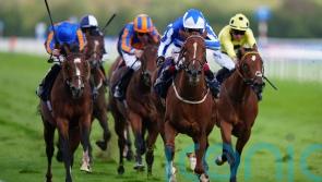 Cornwallis an option for Revival Power