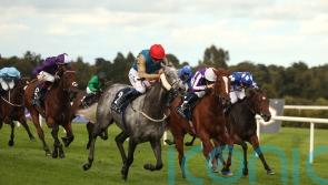 Fallen Angel primed for high-class Chariot race at Newmarket