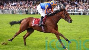 Diamond Necklace sparkles in Prix Marcel Boussac