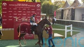 First Look to add his name to stellar Champion Stakes cast