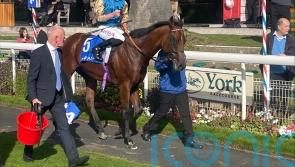 Division in class shows in victory at York