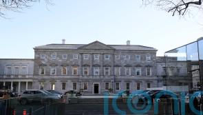 TDs&rsquo; and senators&rsquo; hearing to be tested in Leinster House by charity