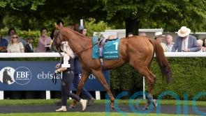 Spackler sparkling with QEII date on the horizon