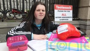 Tanaiste commits to examining therapist recruitment process