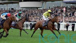 No rush to decide next move for shock Ascot winner Powerful Glory