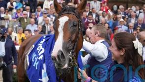 O&rsquo;Brien touches down at Del Mar to oversee Breeders&rsquo; Cup squad