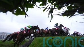 Cheltenham cancel Cross Country Chase at November meeting