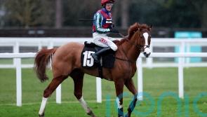 &lsquo;Small setback&rsquo; delays reappearance of Windbeneathmywings