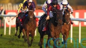 Castle Cove collects November Handicap for Lincoln-winning connections