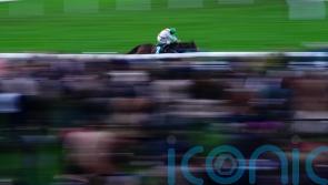 Celestial Tune hits the right note for Sean Bowen