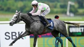 All eyes on Lossiemouth in test of two-mile credentials at Punchestown