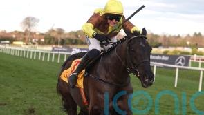 Cheltenham peak the ultimate aim with Galopin Des Champs