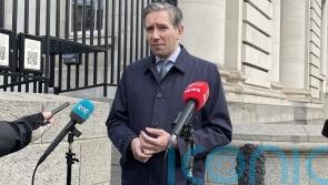 Government has &lsquo;no intention of becoming a landlord&rsquo;, says Tanaiste