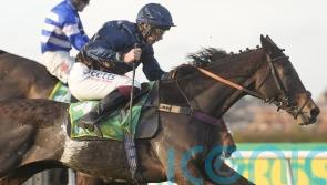 Peterborough run could be key to Djelo King George hopes