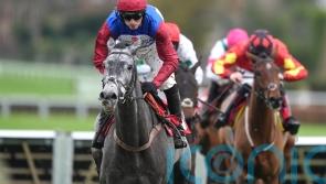 No Drama as Nicholls&rsquo; runner eases to Winter win