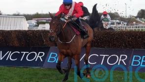 Envoi Allen set for Cheltenham Gold Cup swansong