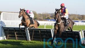 Kripticjim one to watch on informative Newbury card