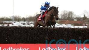 Boothill aiming for Kempton clear round