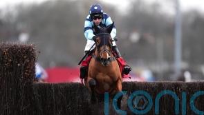 Thistle Ask earns shot at Grade One glory after Kempton stroll