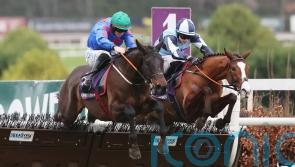 Prolific mare Wodhooh wins again for Elliott