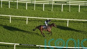 Skelton retains full faith in Mydaddypaddy despite Aintree defeat