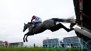 McNeill eager to take on all-comers with Drama