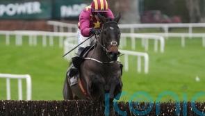 Koktail Divin likely to head straight to Cheltenham