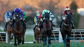 All In You shaping up to be the perfect fit for valuable Newbury target