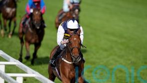 Hopes high for Sober-ing outcome at Punchestown