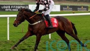 Heads Up booked in for Cheltenham return