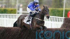 Thurles run could be key to Energumene aim