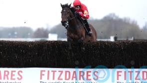 Skelton full of hope for evergreen Protektorat in Fleur de Lys Chase