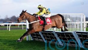 Star names all feature in Champion Hurdle list