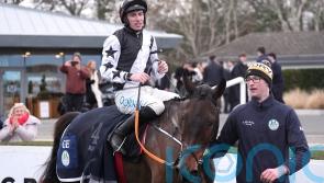 Romeo Coolio facing just two rivals in Irish Arkle