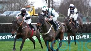 Harty content to bypass Leopardstown with Irish Panther