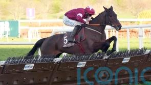 Revenge for Brighterdaysahead in clash of the mares