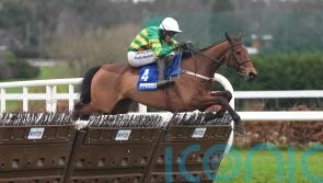 Narciso Has dominates for Grade One honours