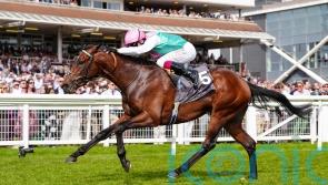 Jonquil all set for Abu Dhabi Gold Cup bid
