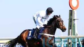 Constitution Hill Southwell hopes boosted