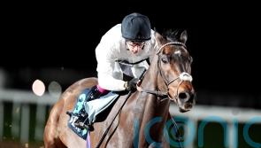 Michael Buckley has Melbourne Cup dream for Constitution Hill