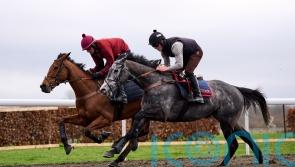 No Drama This End continuing to delight in Festival preparation