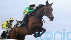 Skelton believes The New Lion ticks all boxes to be a champion hurdler