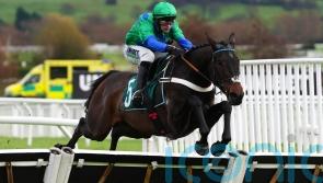 Henderson hoping to see Supreme sparkle from Old Park Star